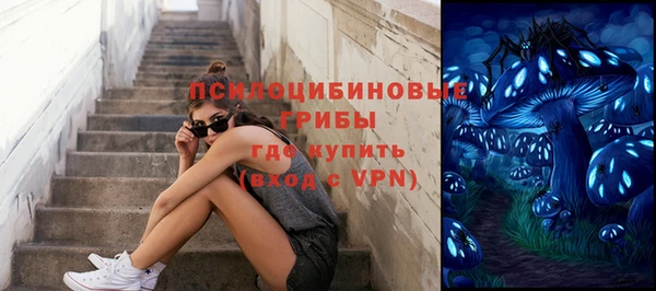 твердый Армянск