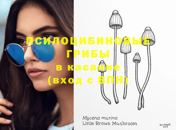 не бодяженный Аркадак